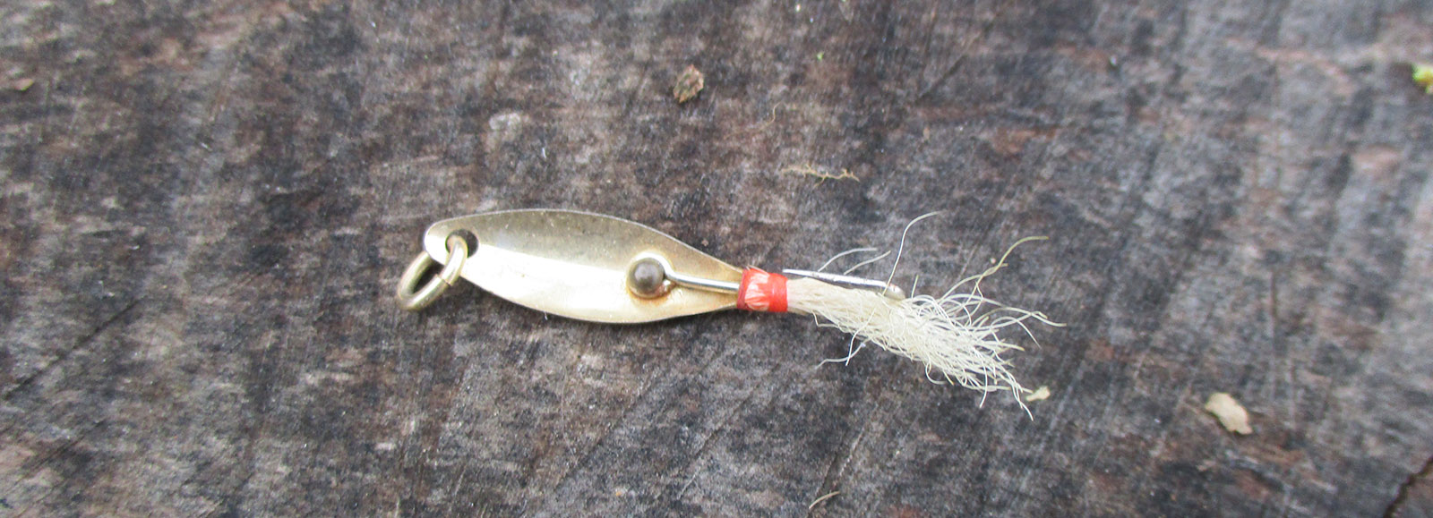 A photo of a spoon-shaped metal fishing lure with a white, fuzzy tail. 