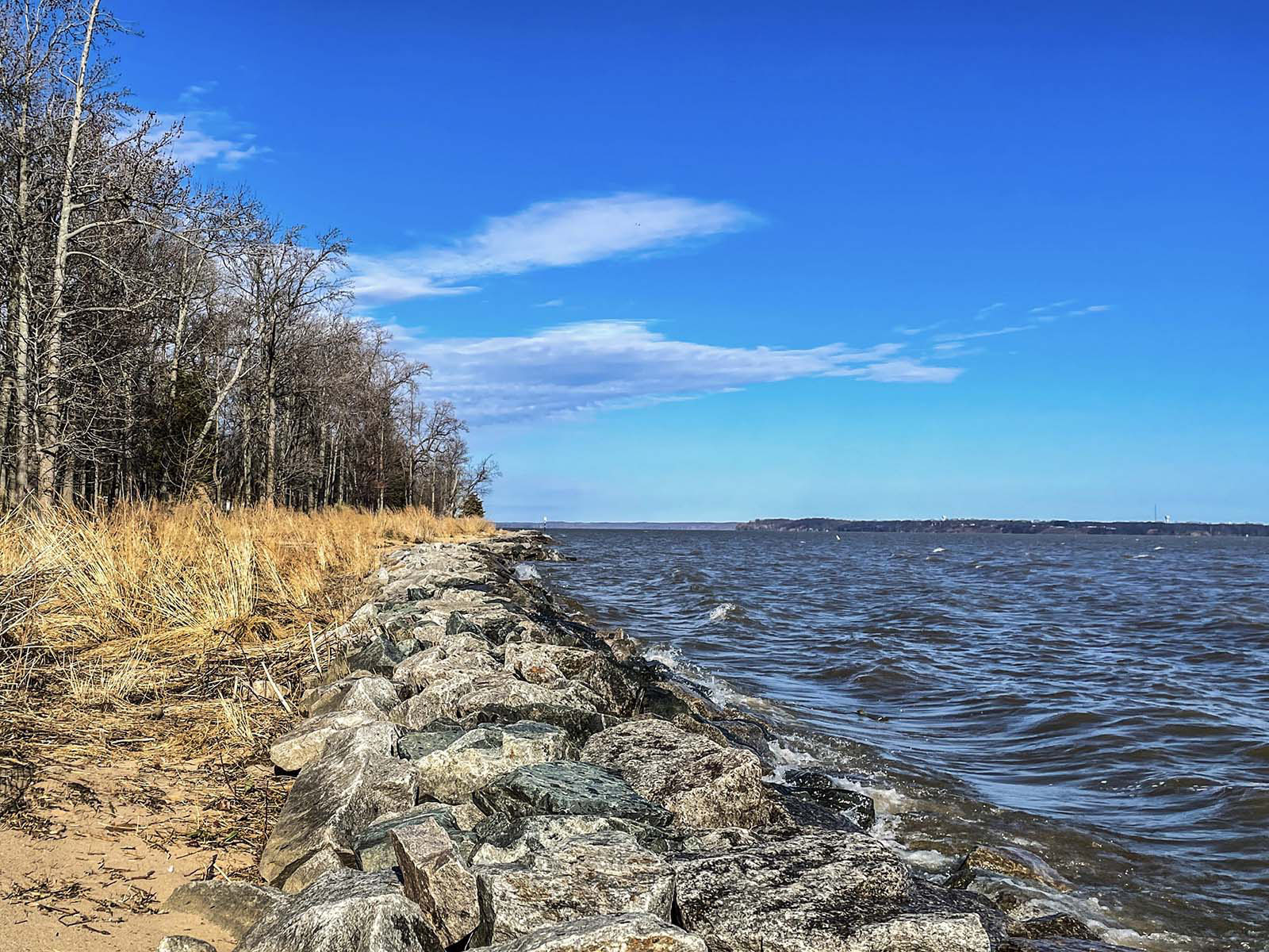 A photo of waves and a riprap border with grasses and trees on the land.