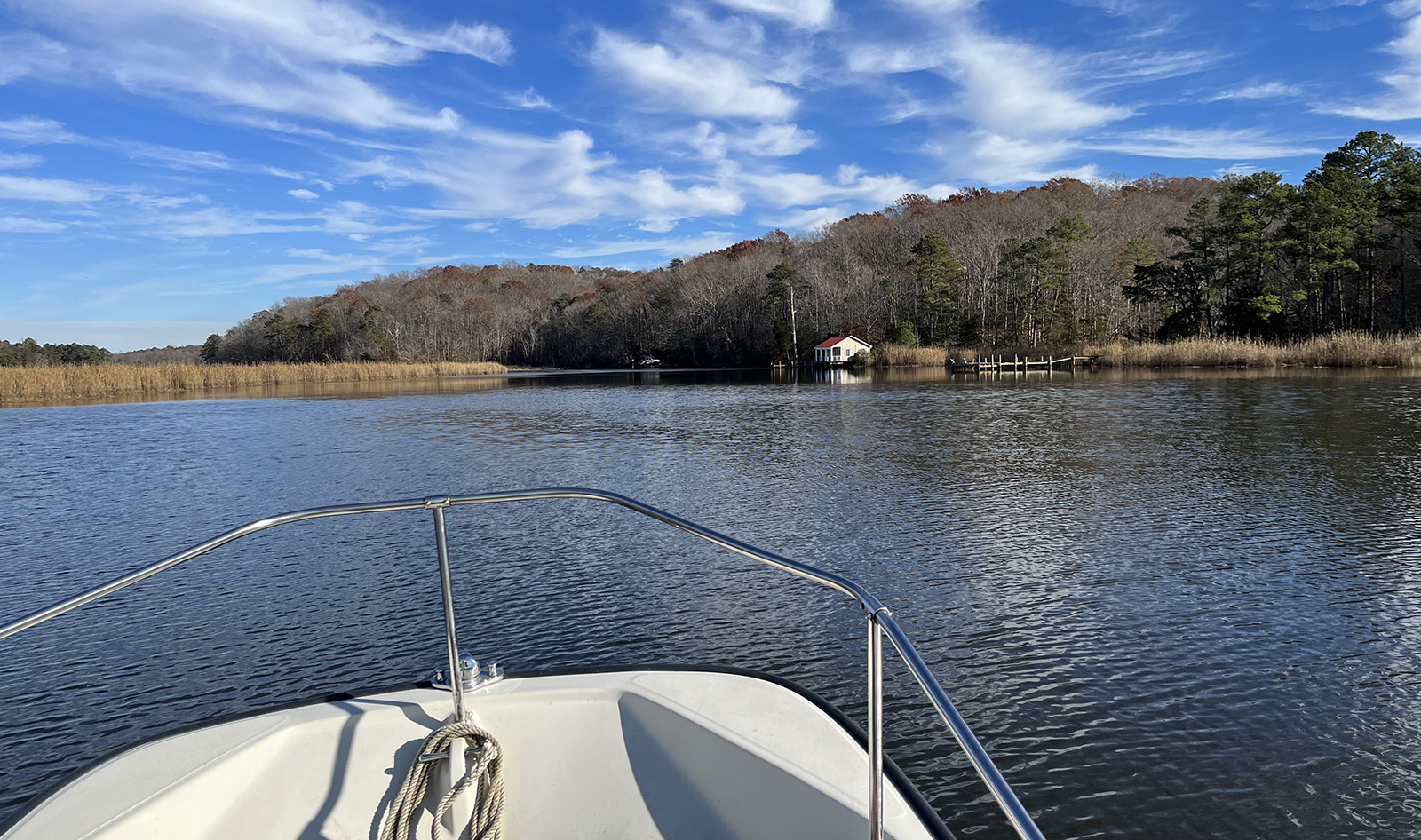 A photo taken from a boat, showing the boat's bow, a stretch of river, and a wooded bank.