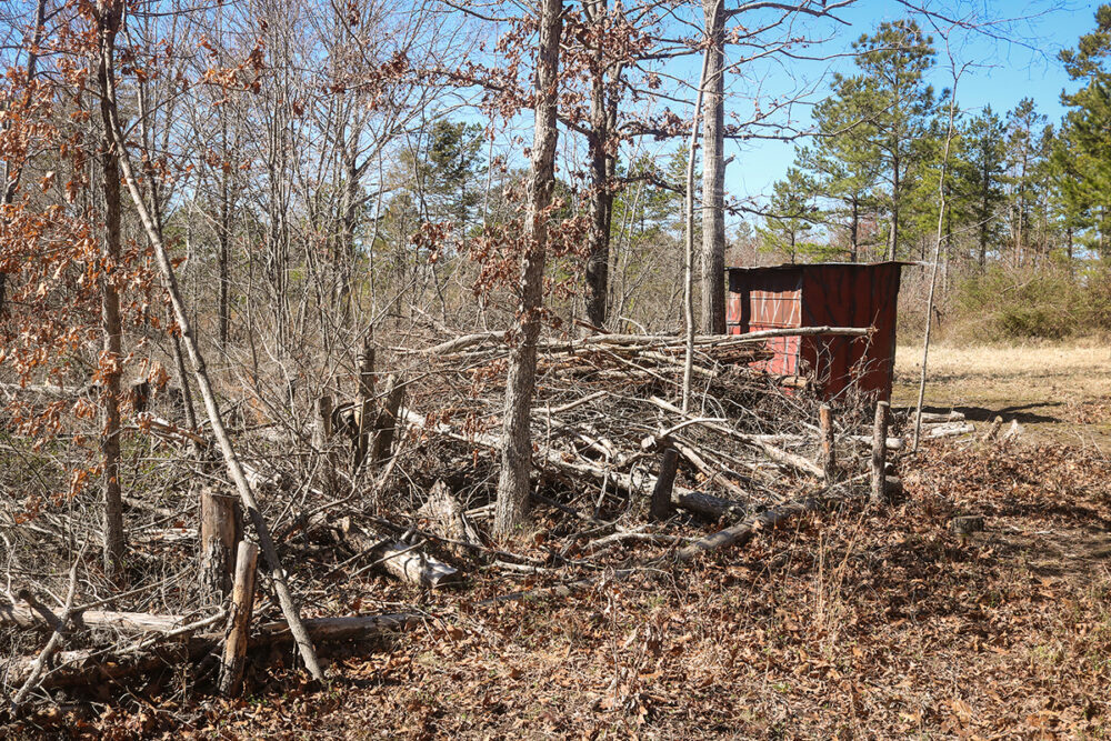 An image of a brush pile near an old red shed