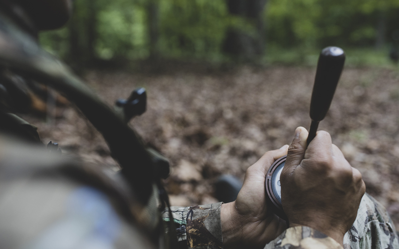 Virginia’s 2026 Spring Gobbler Forecast