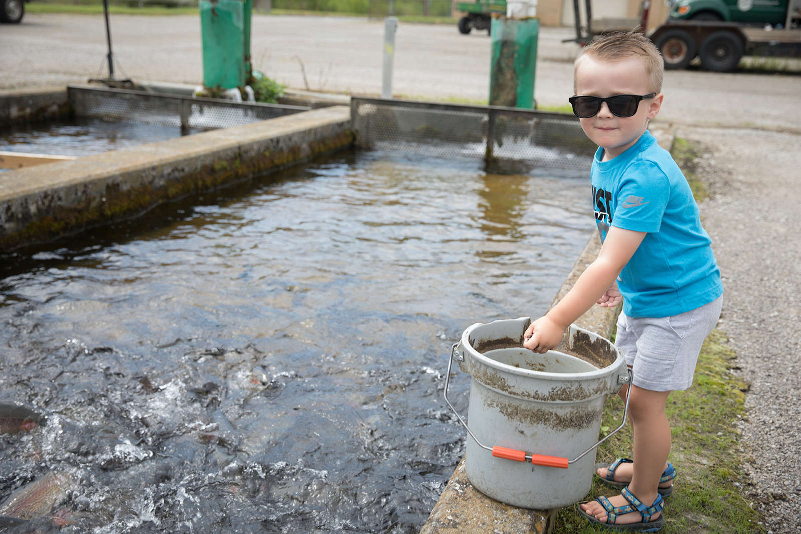 A photo of a young boy reaching into a bucket and standing beside a concrete raceway full of fish.