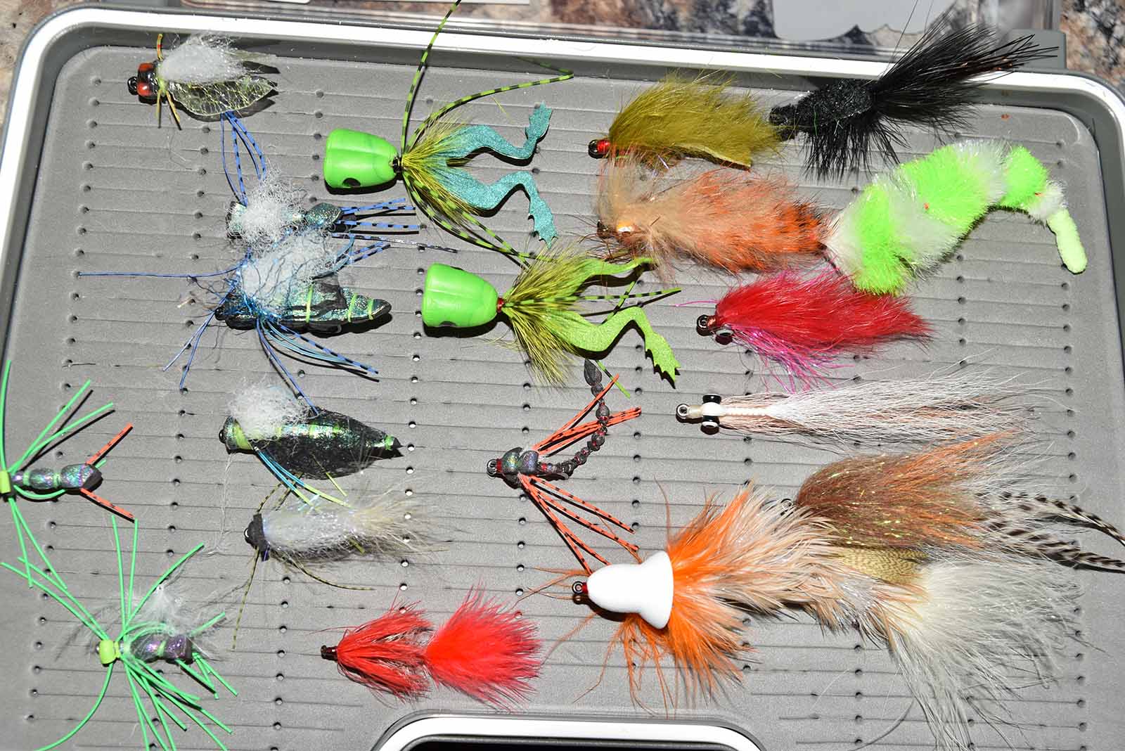 A tray holding a wide variety of colorful flies.