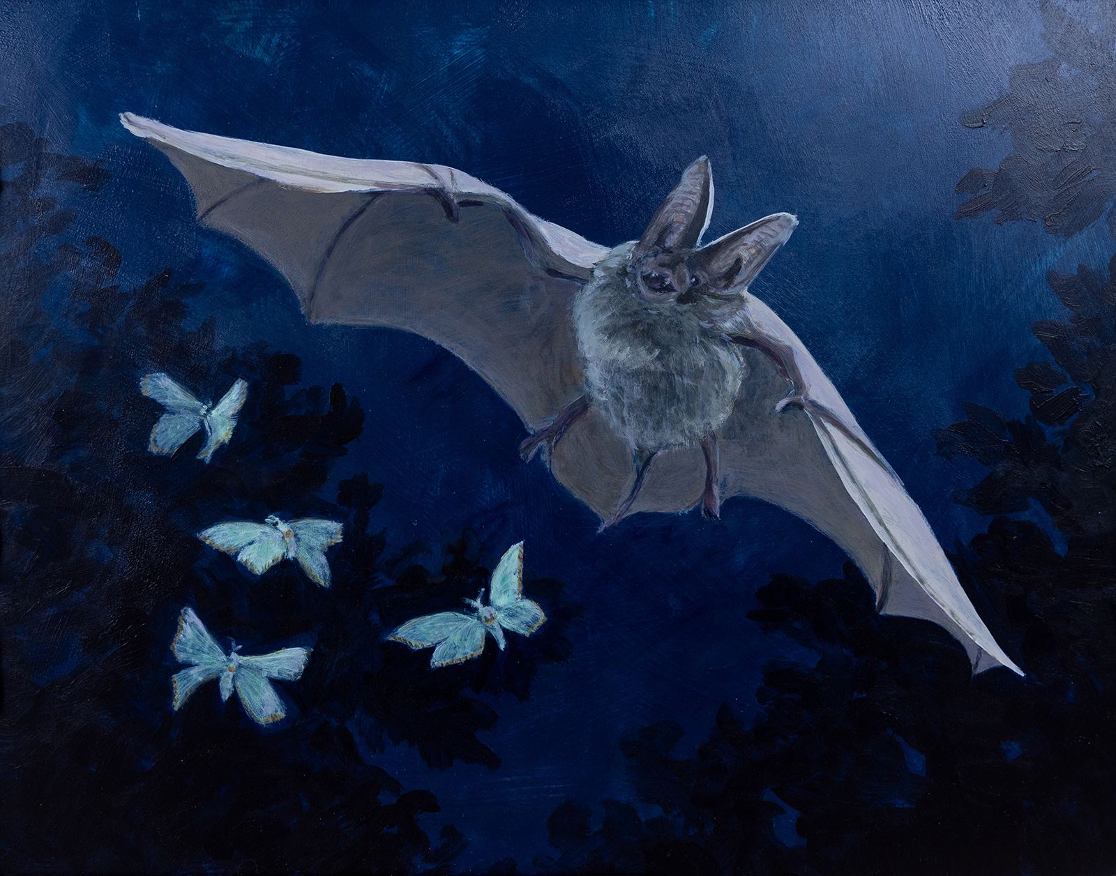 A painting in dark blues and grays of a bat flying through trees with four moths flying near it.
