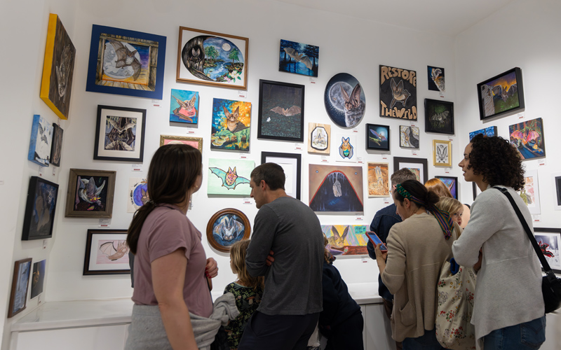 Winners of 2026 Restore the Wild Artwork Competition Chosen