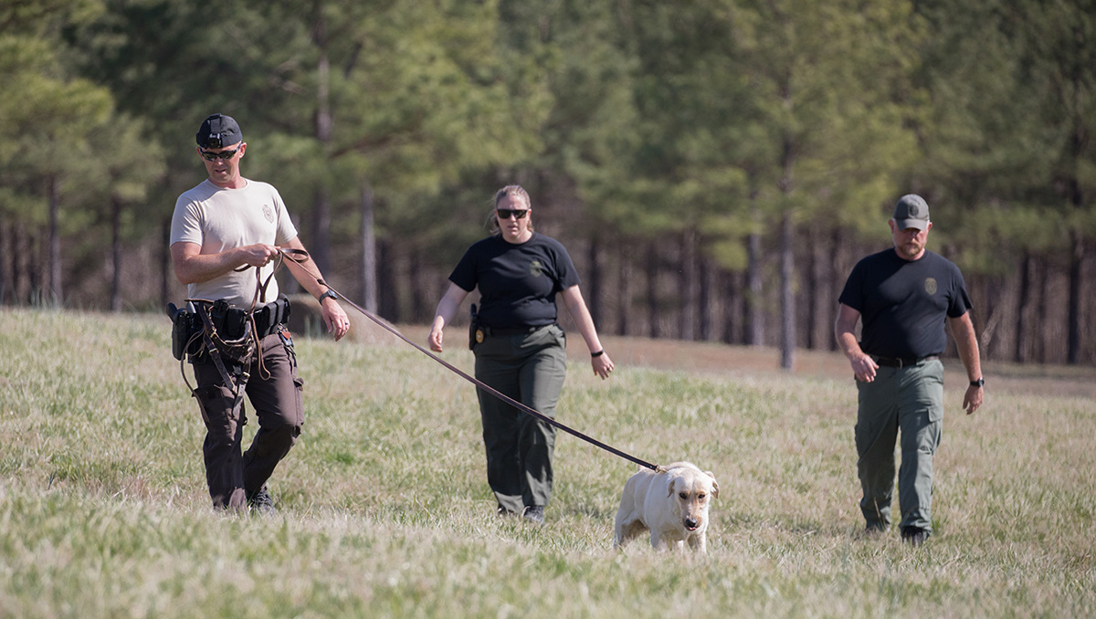 An image of three officers and a yellow Labrador walking in a meadow with trees in the background; the DWR  is assisting in the training of K9 officers for the West Virginia DNR