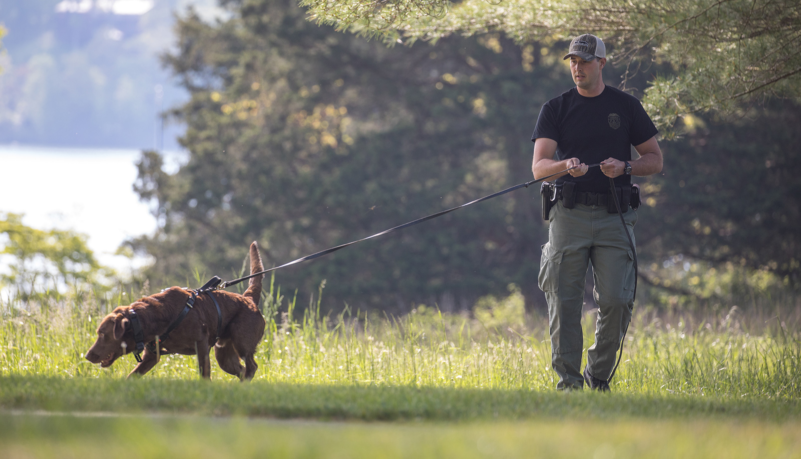 A photo of a man in law enforcement uniform holding a long leash with a large brown dog attached via harness.