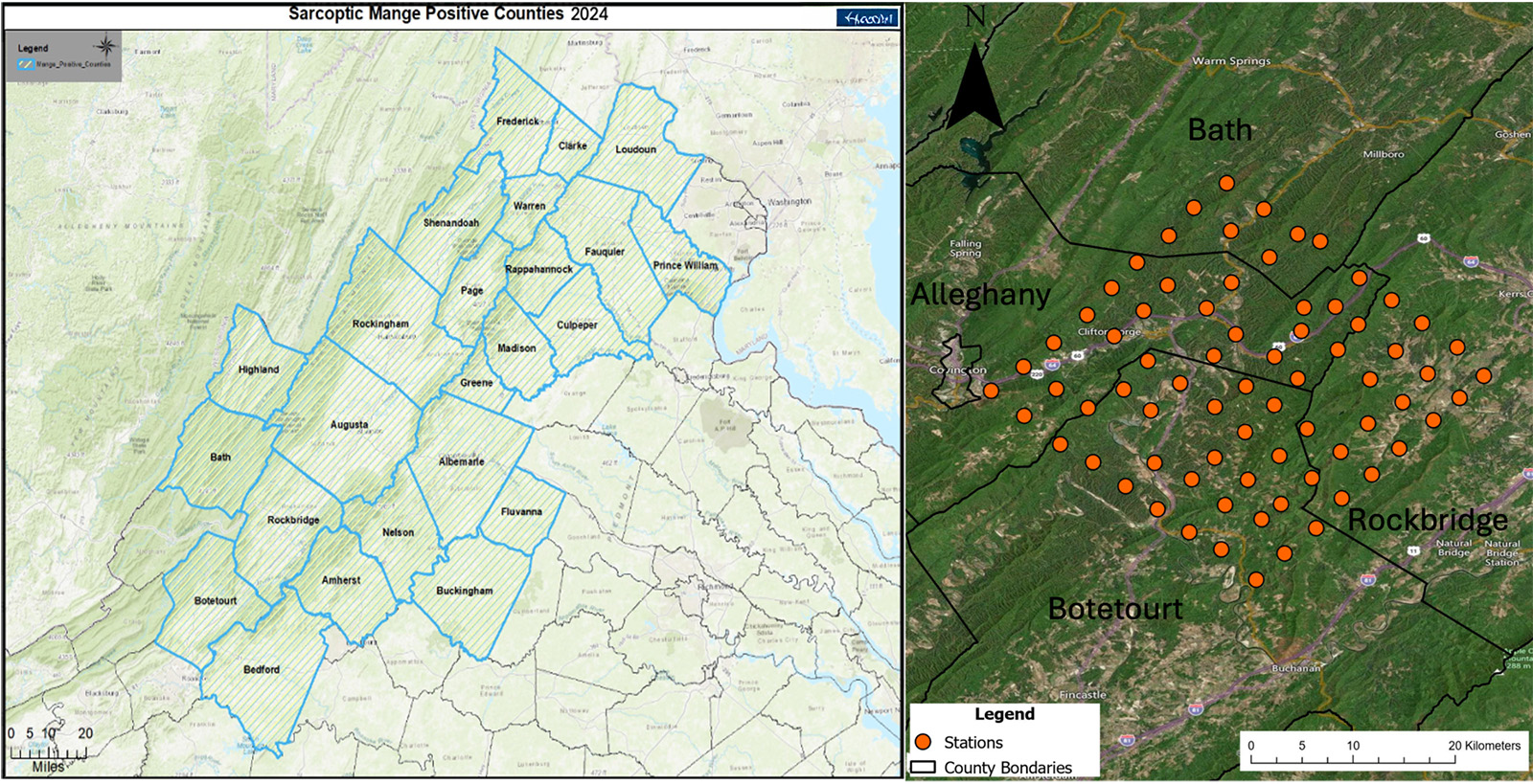 Two maps displaying in which Virginia counties bear mange has been found.