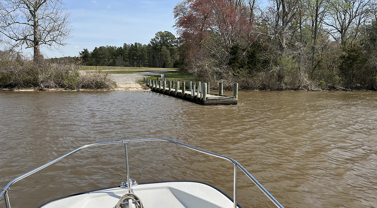 An image of a landing dock that leads into a meadow taken from a boat
