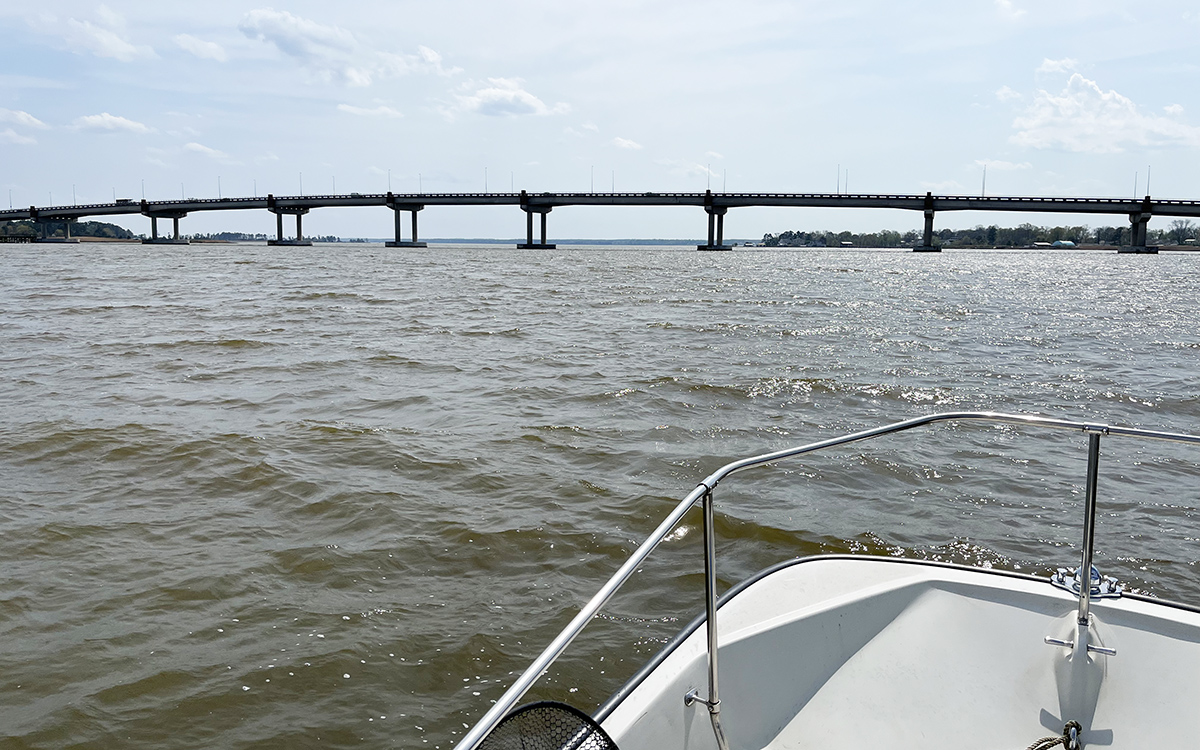 An image of the York river taken from a boat looking at a bridge that crosses the body of water