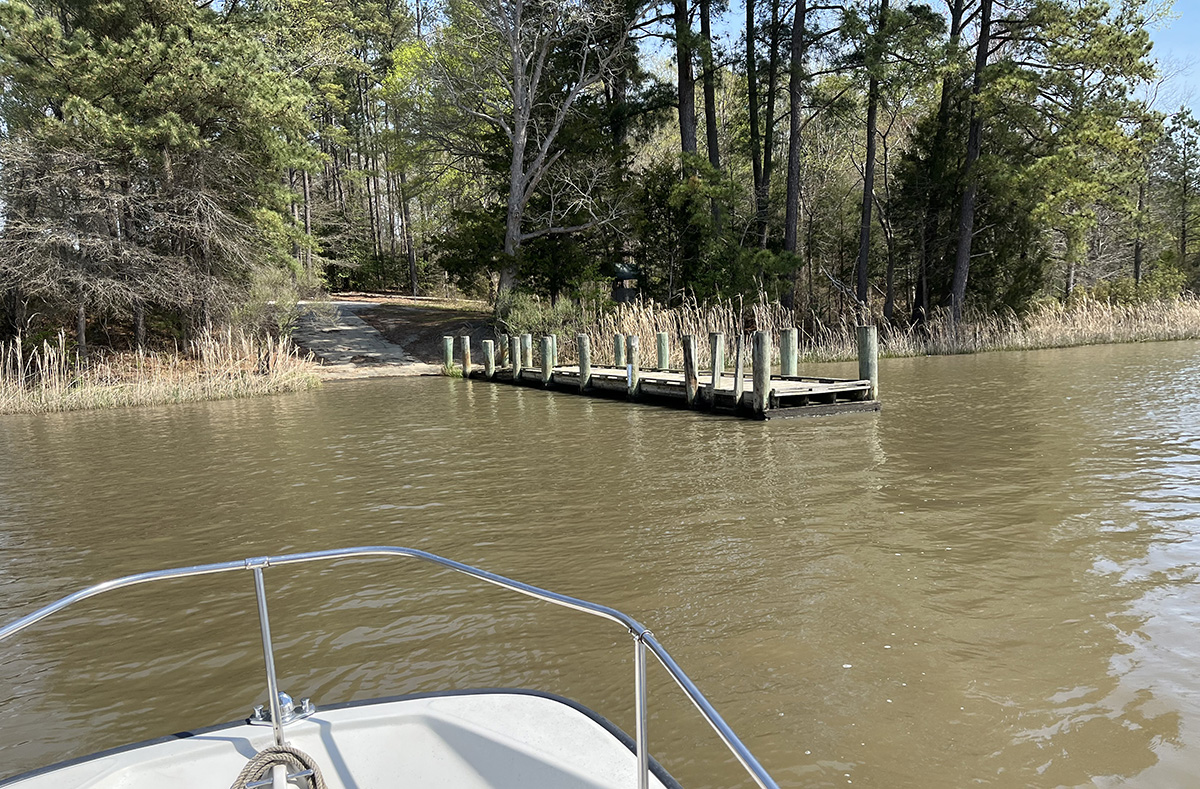 An image of a landing dock which leads into a deciduous forest taken from a boat