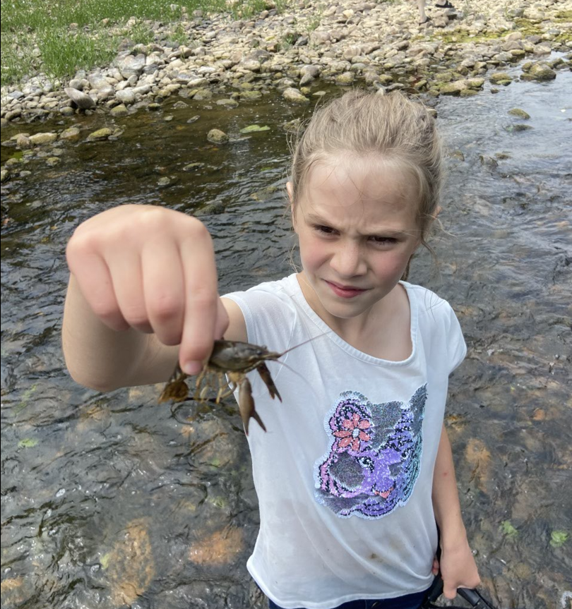 A photo of a young girl standing in a creek, holding a crayfish between her fingers and looking at it.