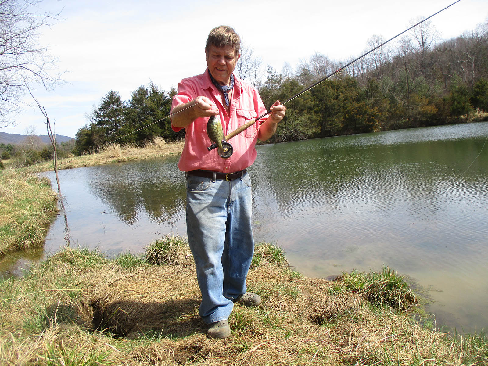 Fly Fishing for Panfish