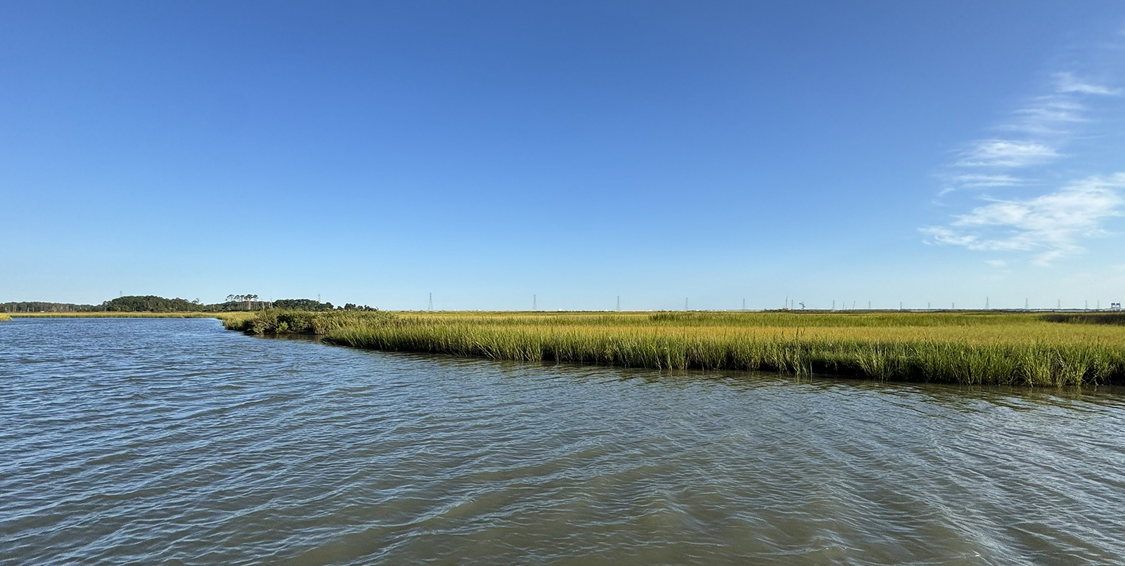A photo of river water and marsh grass.