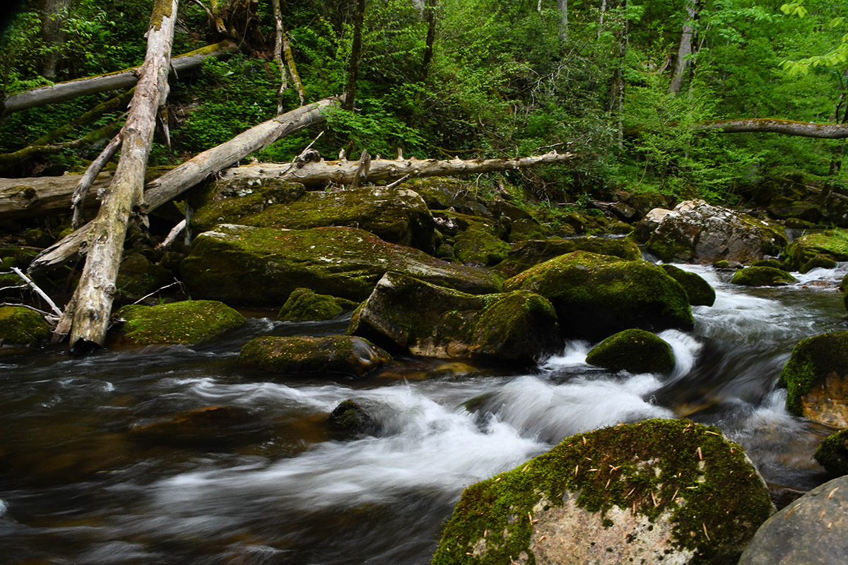 An image of a picturesque creek flowing through Clinch mountain