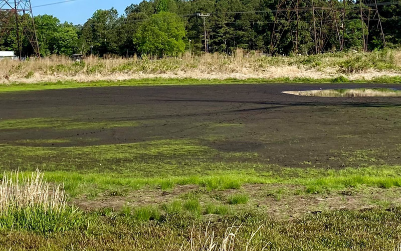 Drought and Aquatic Wildlife