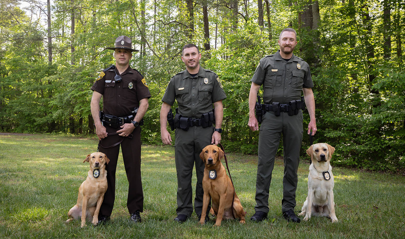 A photo of three law enforcement officers in uniform standing in a line, with three Labrador retriever dogs at their feet wearing badges.