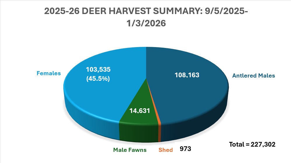 A pie chart showing 108,163 antlered males, 103,535 females, 14,631 male fawns, and 973 shed bucks.