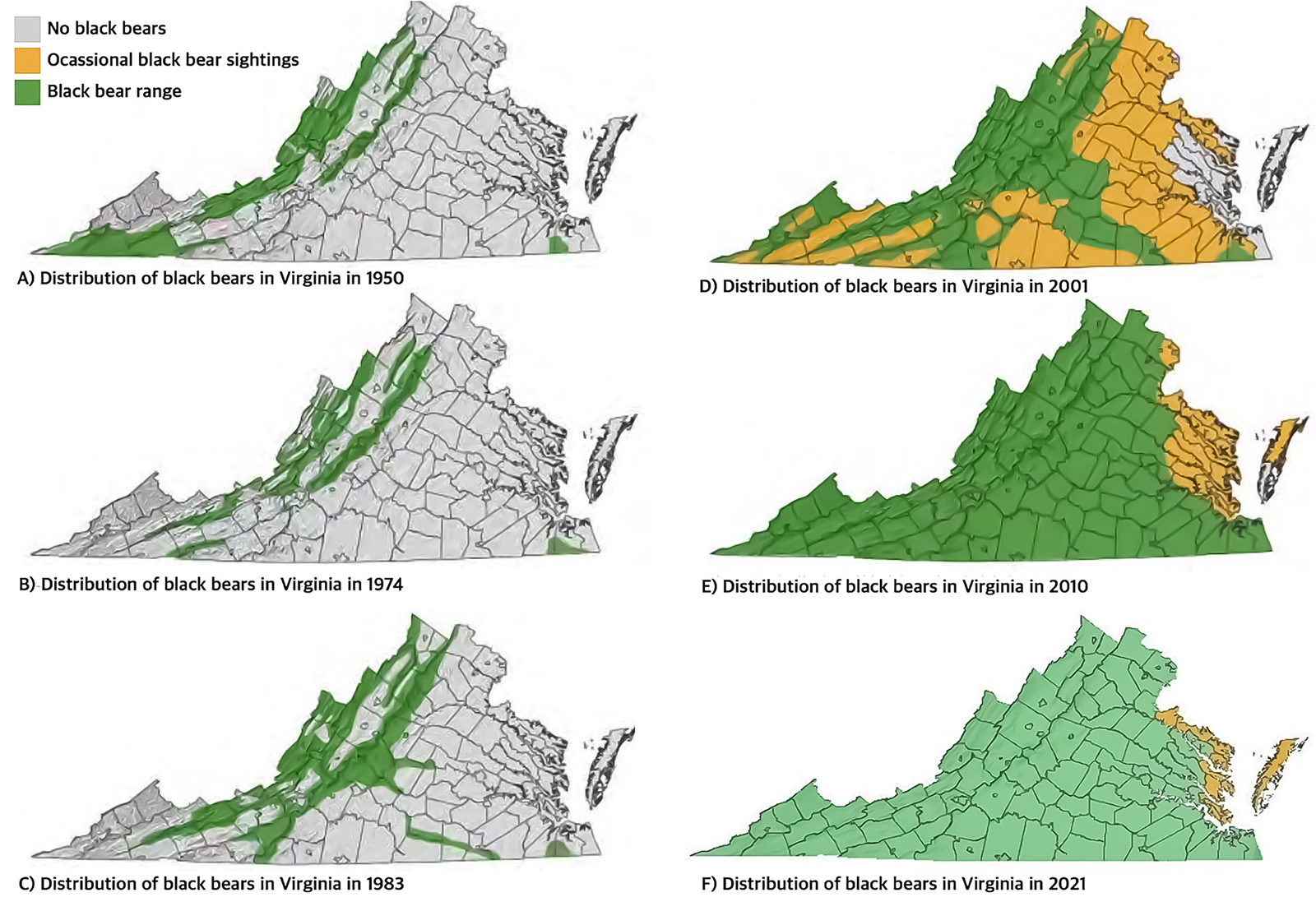 An image of six different maps of Virginia with colored areas indicating areas of no black bears, areas with occasional black bear sightings, and areas of black bear range from 1950, 1974, 1983, 2001, 2010, and 2021, showing a major expansion of the species' range.