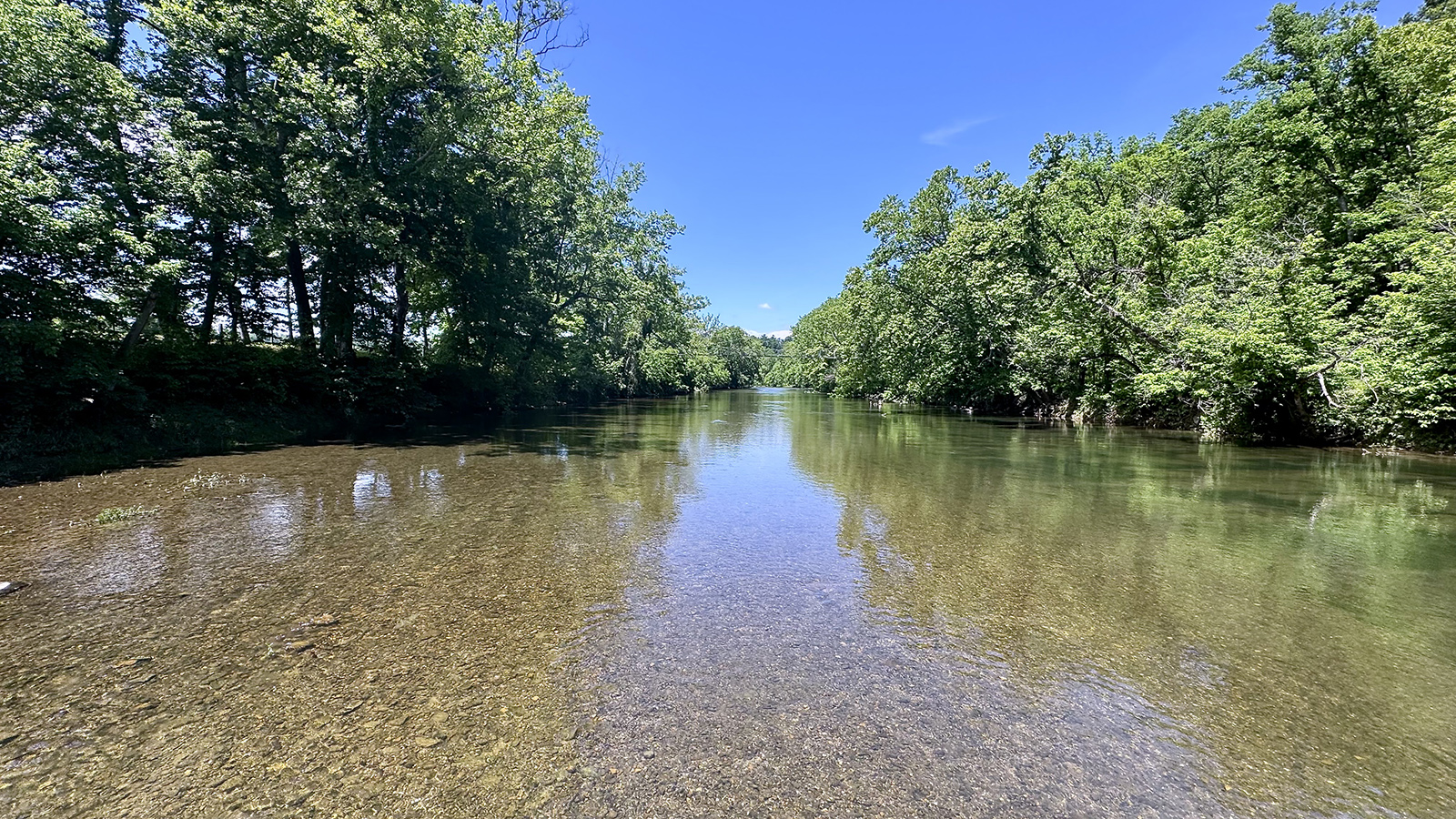 A pretty photo of a river taken from the middle of the water, with trees lining the banks.