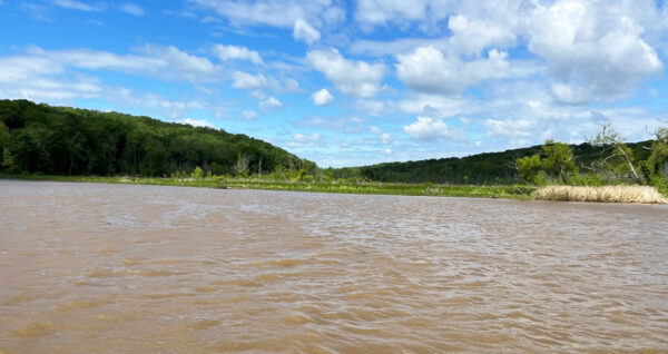 Explore the Wild on the Rappahannock River around Hopyard Landing ...