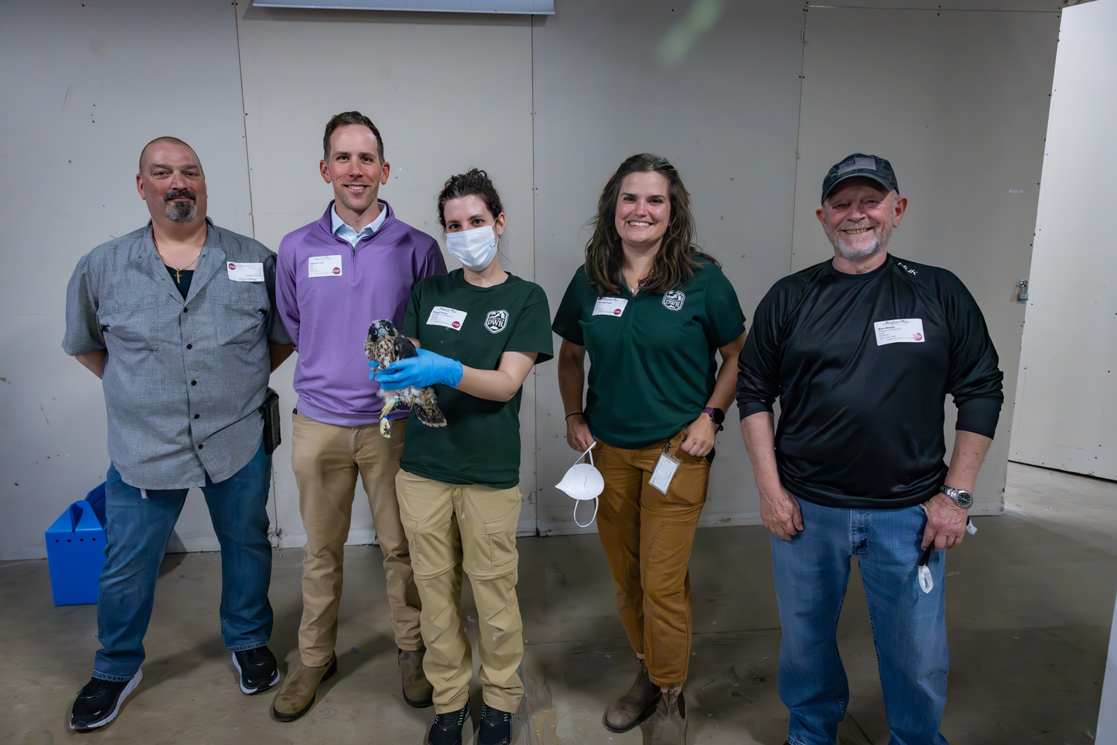 A photo of five people, with the one in the center holding a peregrine falcon chick.