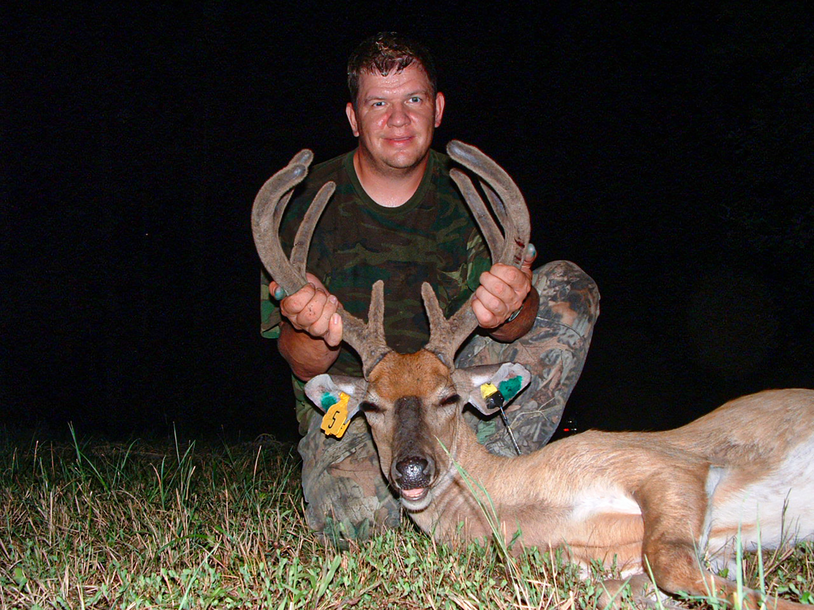 A photo of a man kneeling behind a sedated deer lying on the ground with antlers and ear tags.