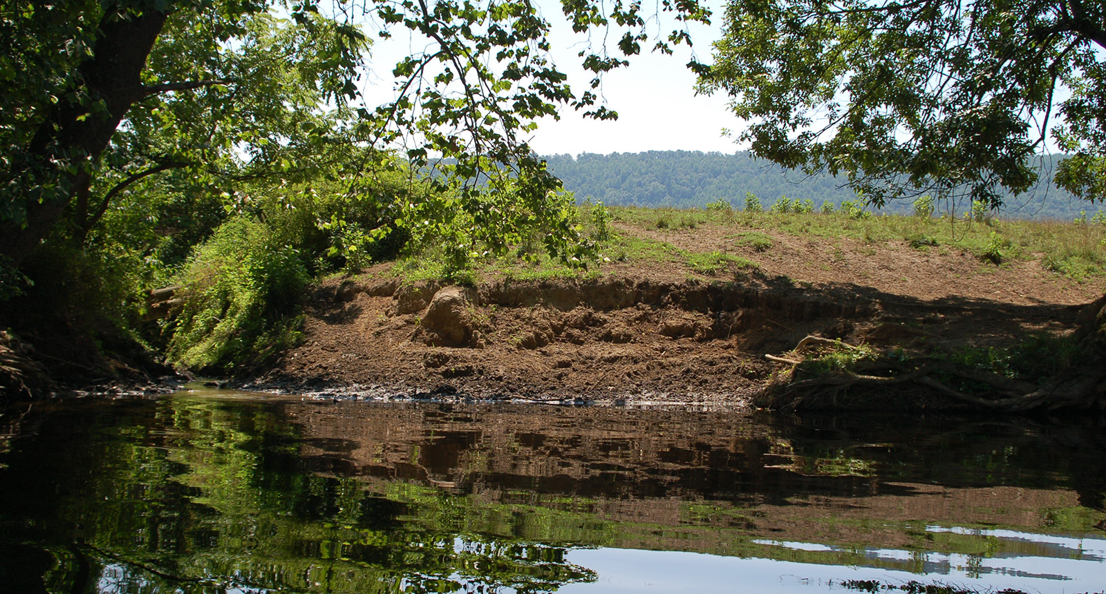 An image of an eroded riverbank