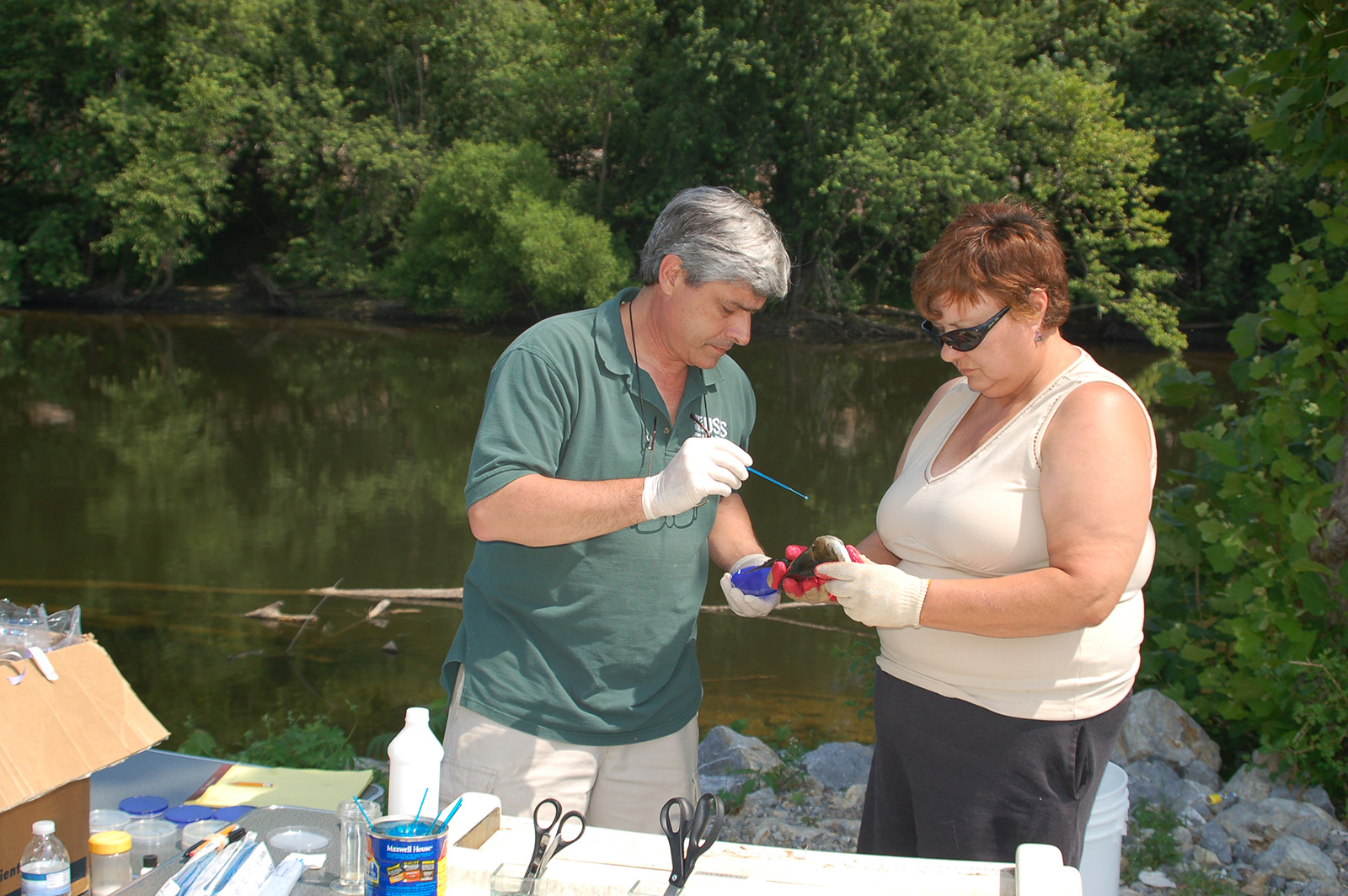 An image of DWR staff sampling health information from a fish near a river