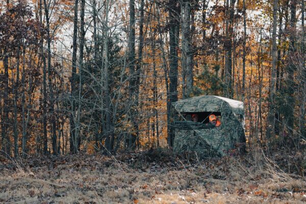 Nine Proven Stand Sites for Deer | Virginia DWR