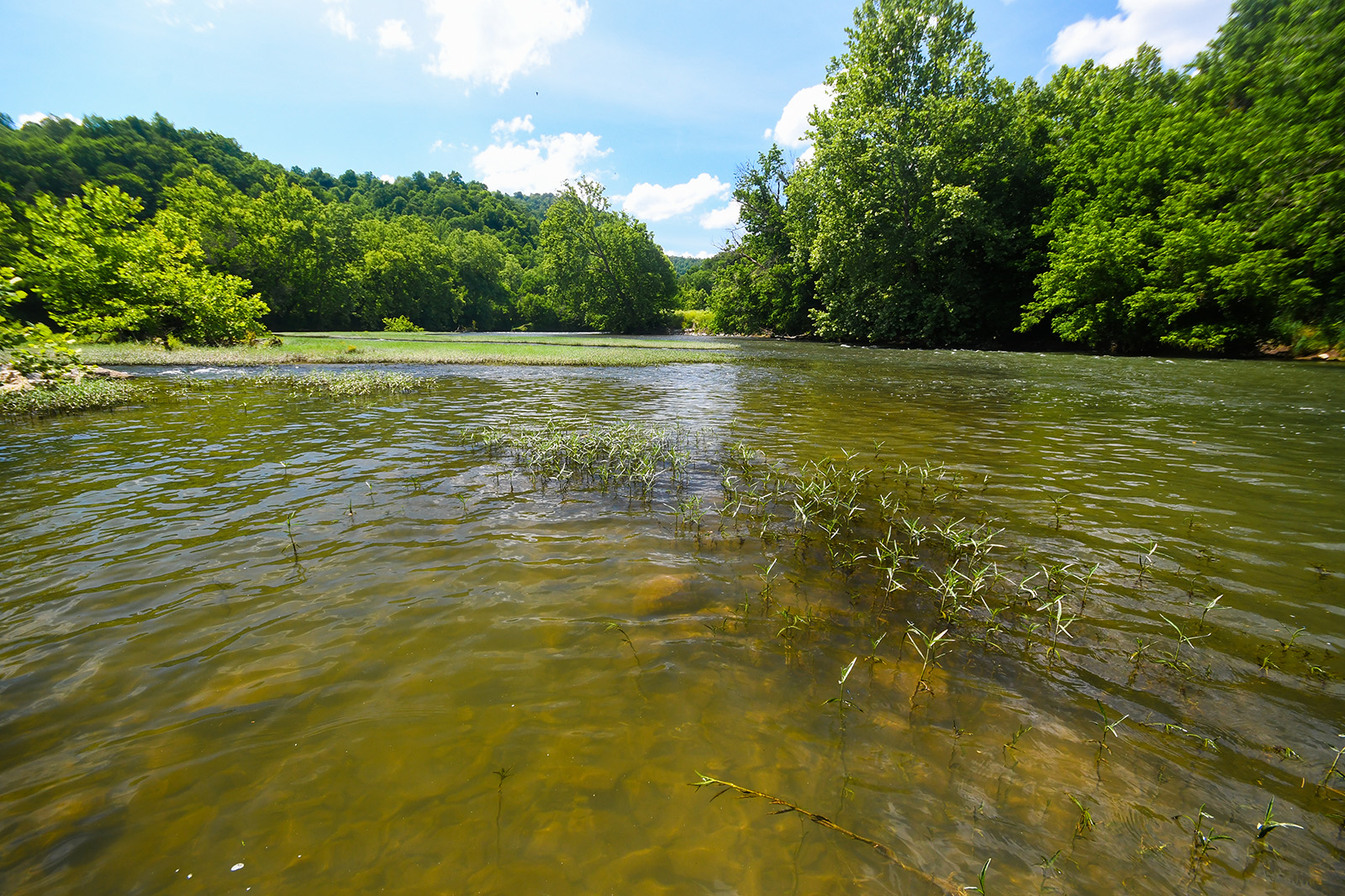 A photo of a river taken from mid-stream, with rippling water and trees on the banks.