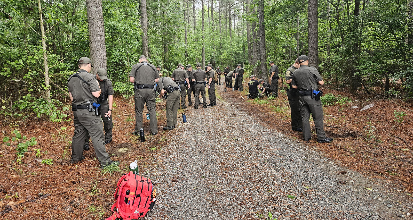 A group of men and women in uniform in the woods, examining the ground in groups.