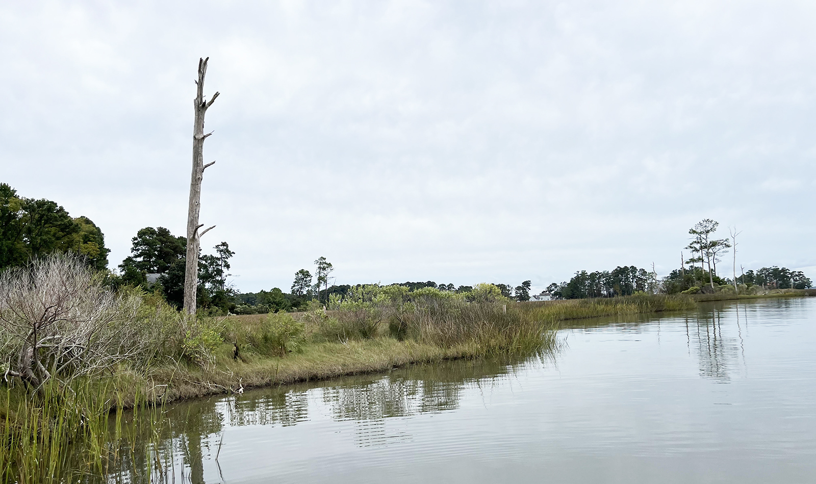 A photo of a marshy piece of land meeting the water.