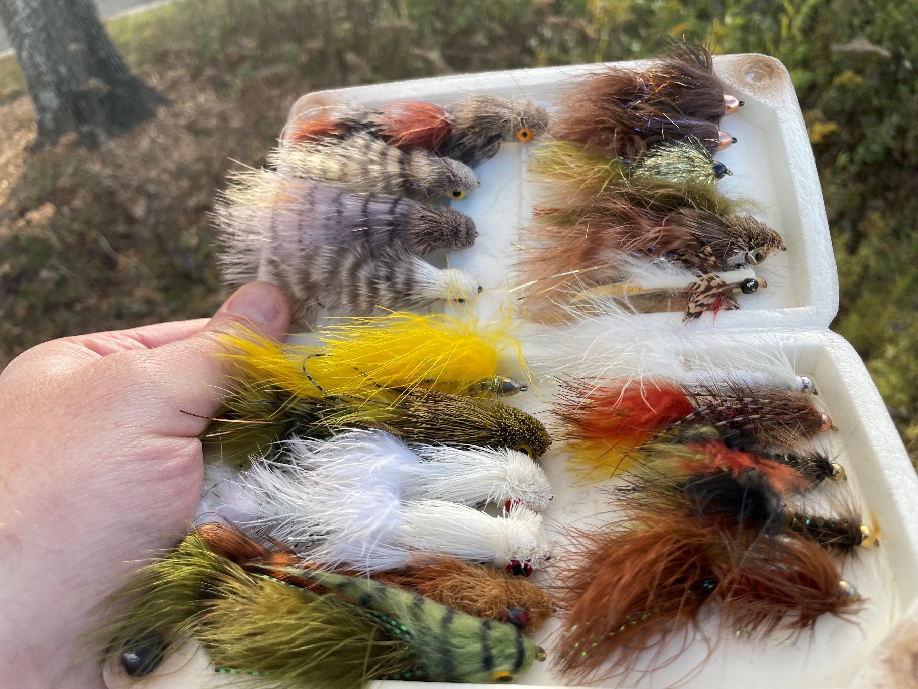 An image of a Styrofoam box holding various fishing flies of numerous colors with long feathery tails and small painted eyes.