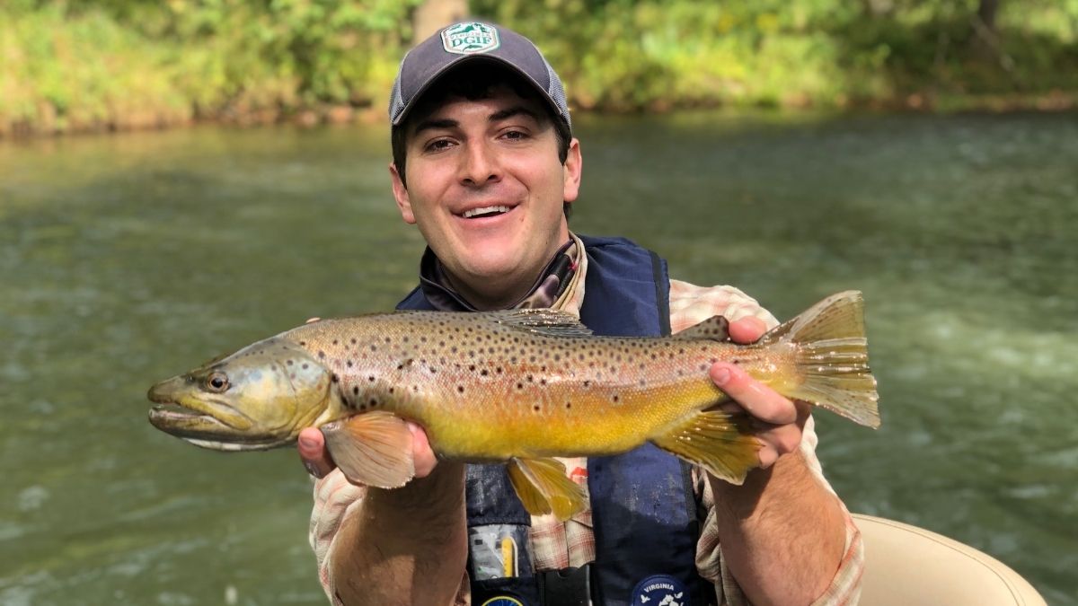 Trigger a Brown Trout's Predatory Instinct by Streamer Fishing in the Fall