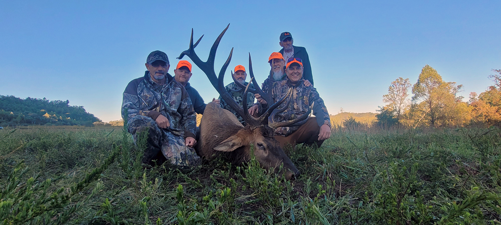 A photo of a bull elk with large antlers lying on the ground in a field with six men kneeling and standing around it.
