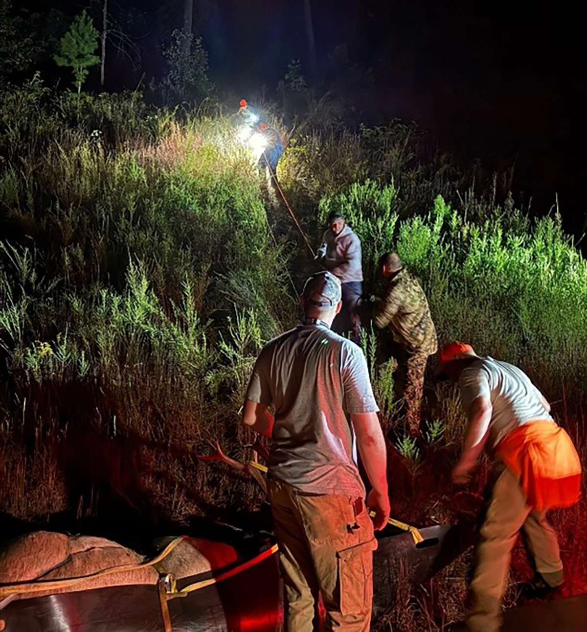 A photo taken at night of men with headlamps on lowering an elk on a sled down a steep hill.