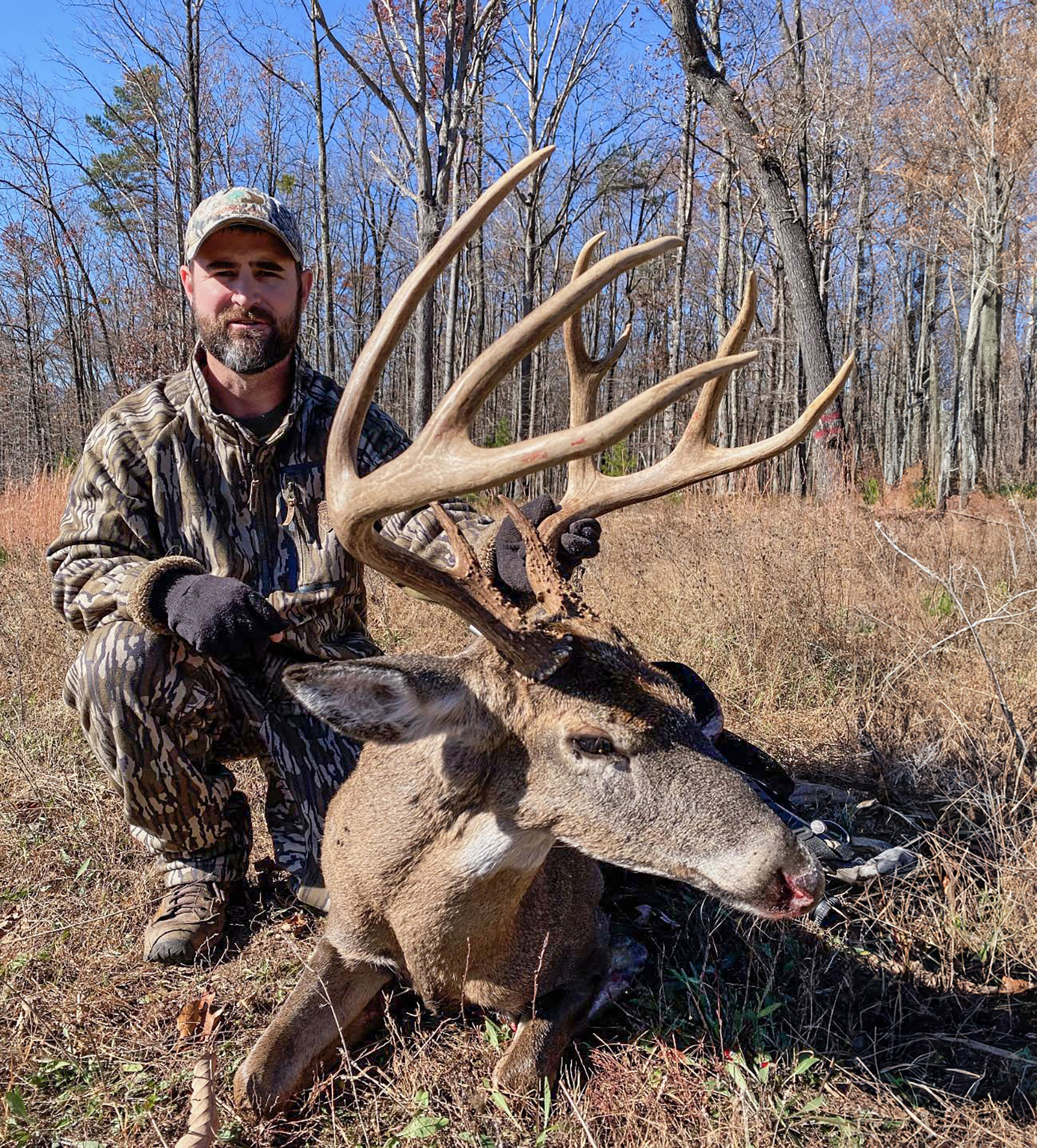 A photo of a very large whitetail buck laying on the ground with a man in camouflage kneeling next to it.