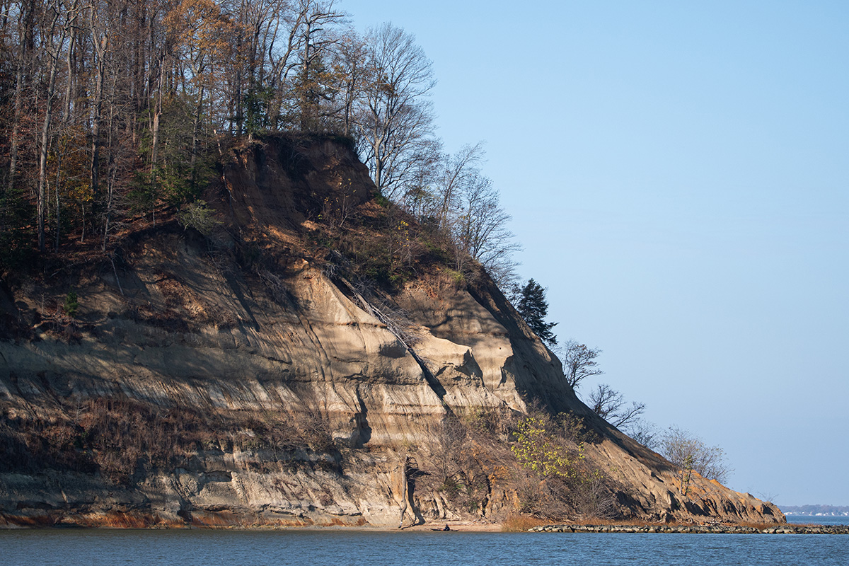 An image of a cliff with trees on top