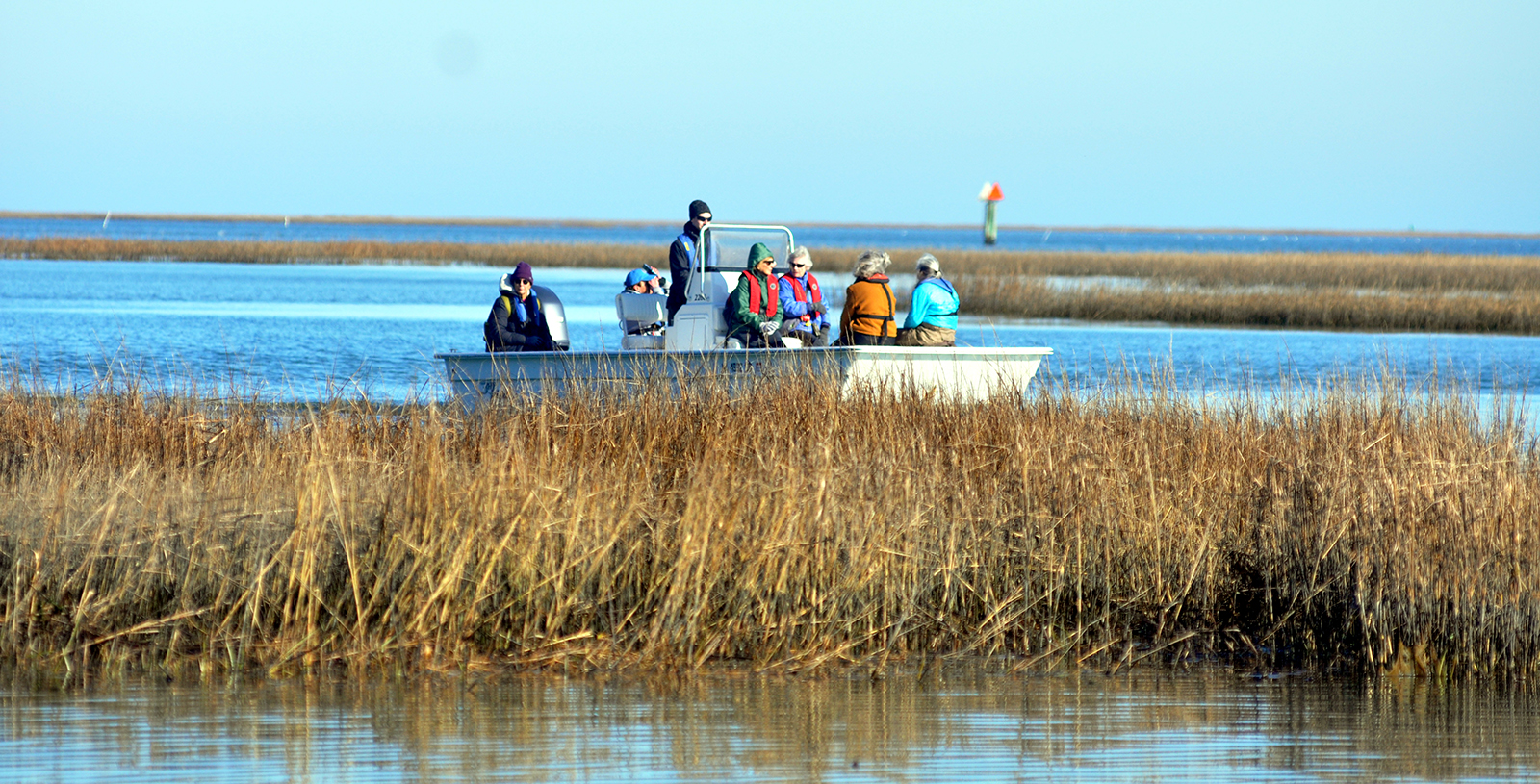 A photo of a group of people on a boat traveling through wetlands.