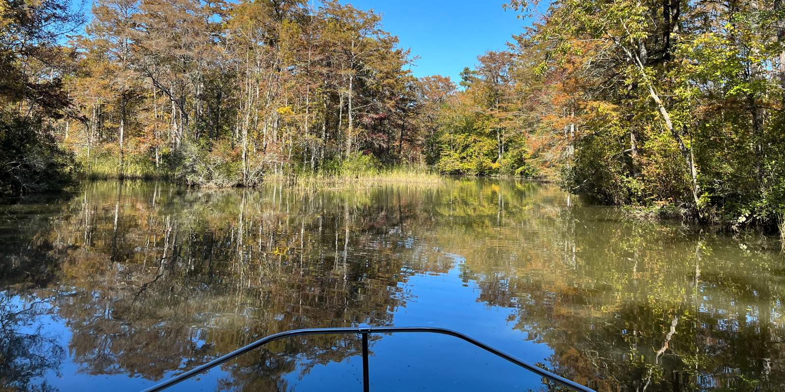 An image taken from a boat of the upper portion of Gray's creek with brilliant fall foliage