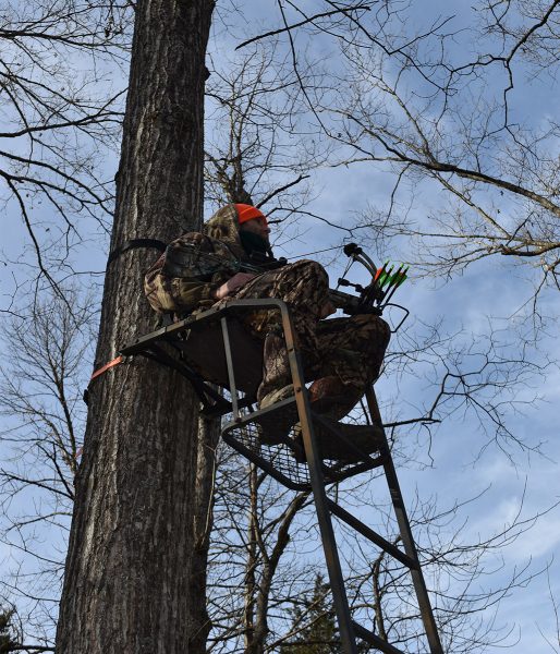 An image of a hunter with a bow an arrow set in a tree hide watching for a deer
