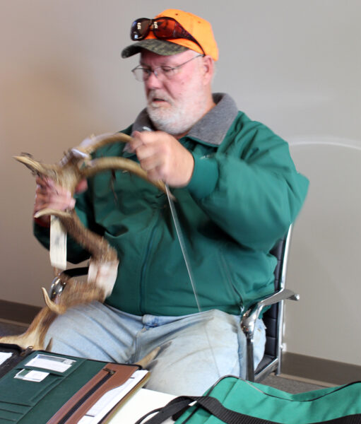 A photo of a man measuring a set of antlers.