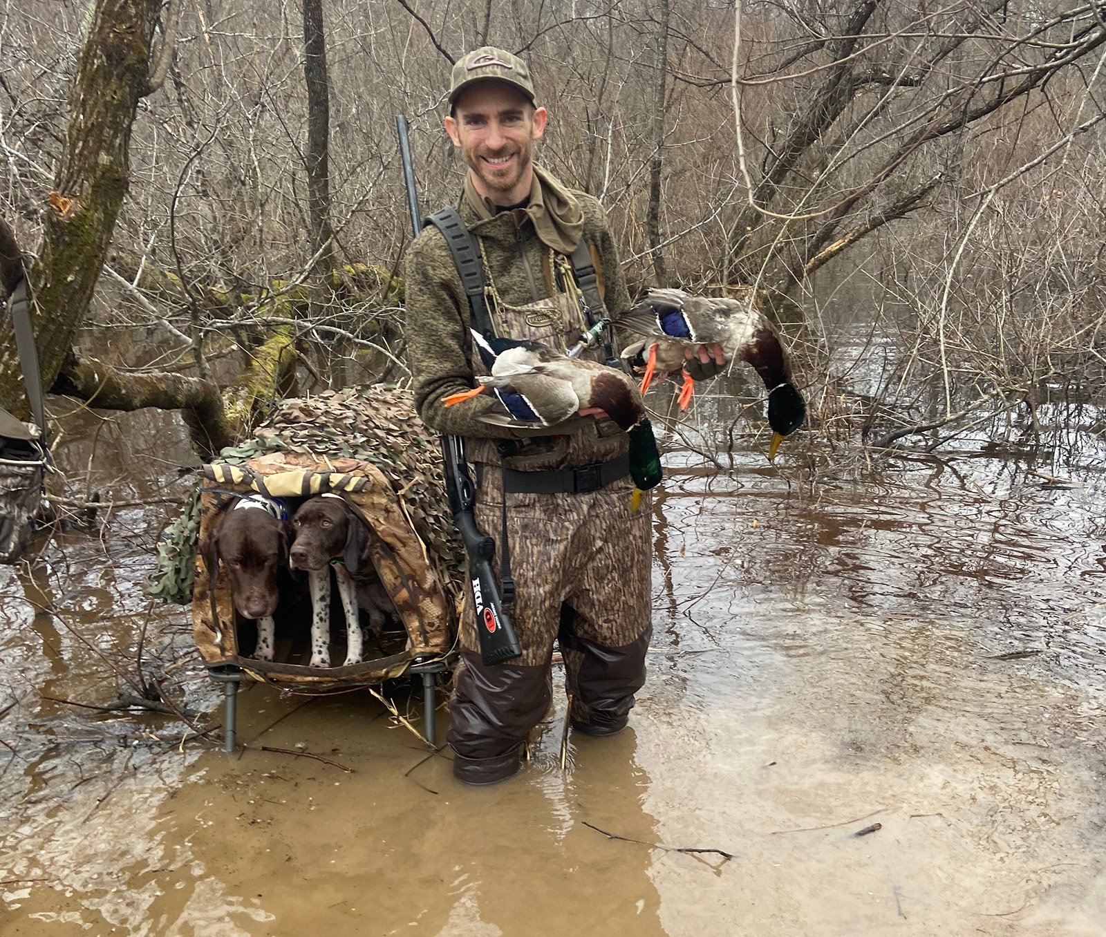 A hunter in camouflage standing in water in a marsh, holding two dead mallard ducks. Two retrieving dogs are in a crate elevated above the water next to him.
