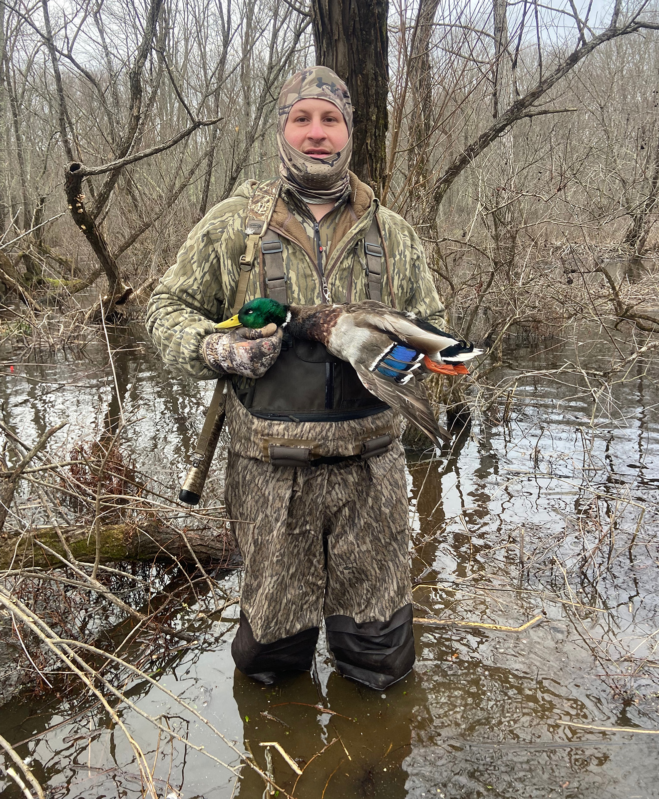 A duck hunter stands in the water of a marsh among trees, holding a harvested mallard duck with its distinctive green head.