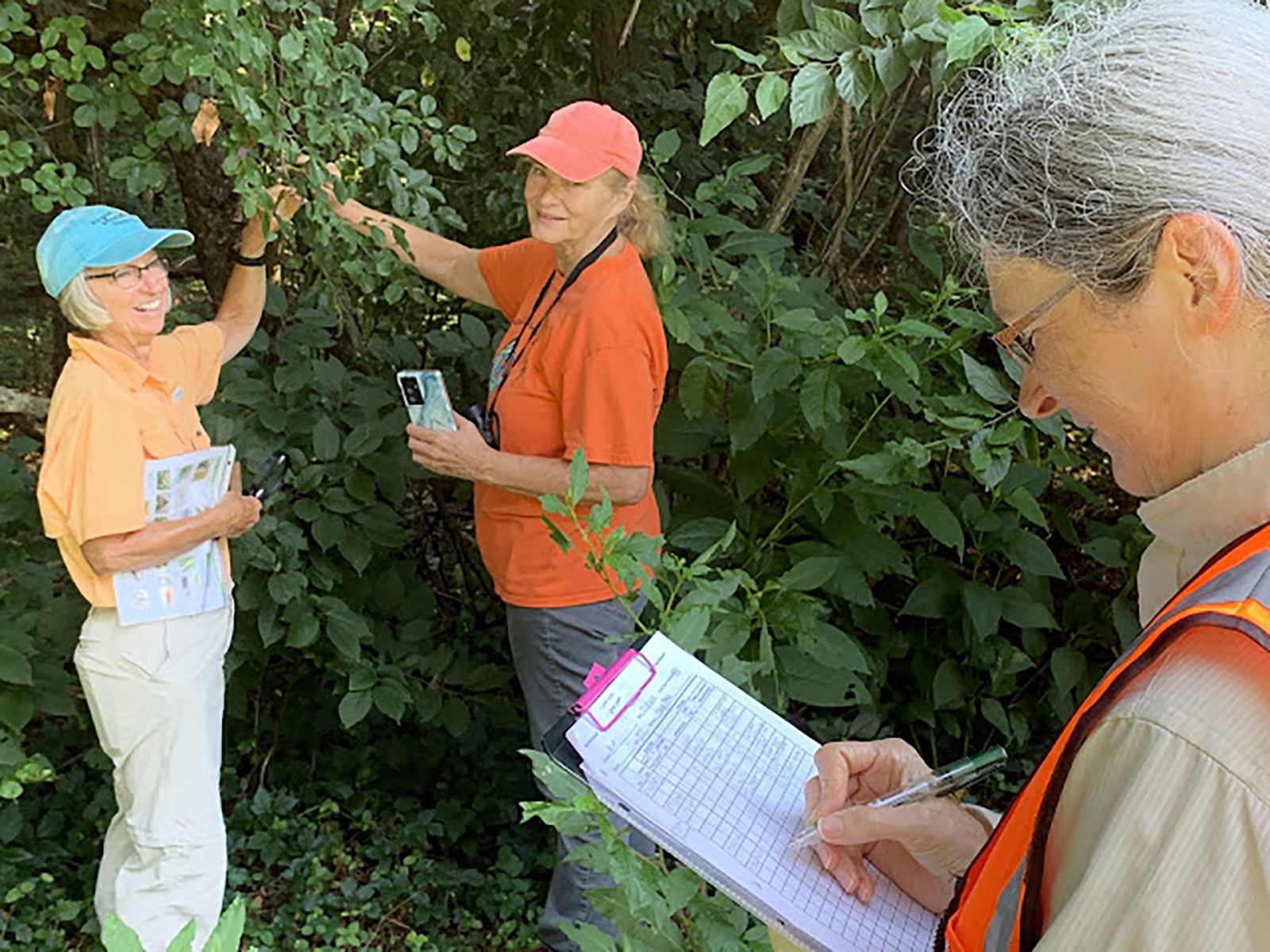 A photo of two women looking closely at a bush and another woman making notes on a clipboard.