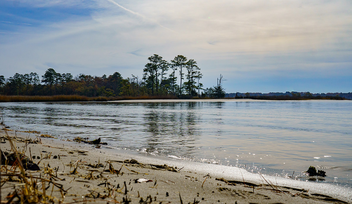 The beach of first landing state park