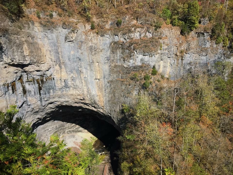 An image of the cliffs that overlook the tunnel in Natural Tunnel State park