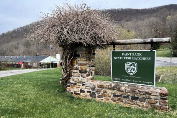 The Paint Bank Fish Hatchery welcome sign