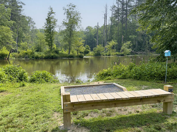 Benches along Swift Creek Lake, Beaver Lake, and Third Branch are good spots to watch waterfowl, herons, and osprey. Photo Credit: Lisa Mease